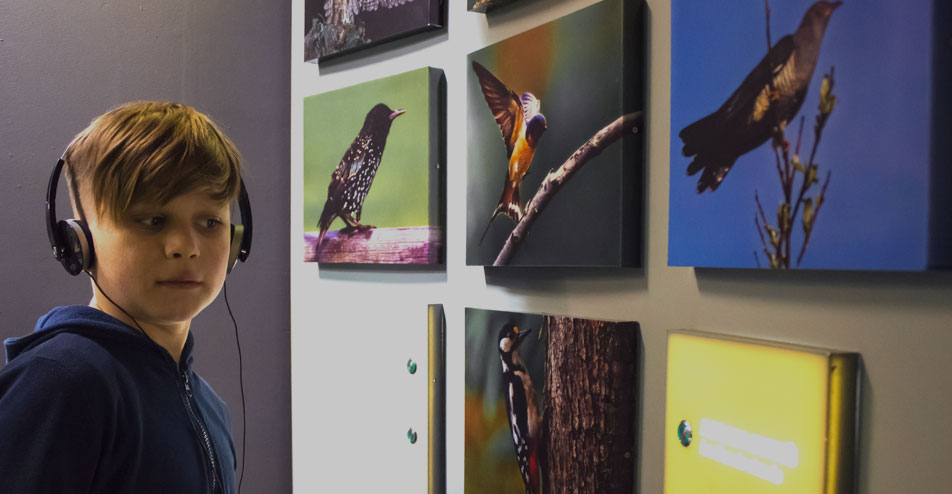 Αλέξης Σταυρούλιας - Πολιτιστικές Δράσεις