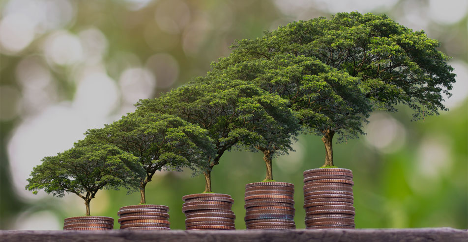 Αλέξης Σταυρούλιας - Οικονομική Διαχείριση